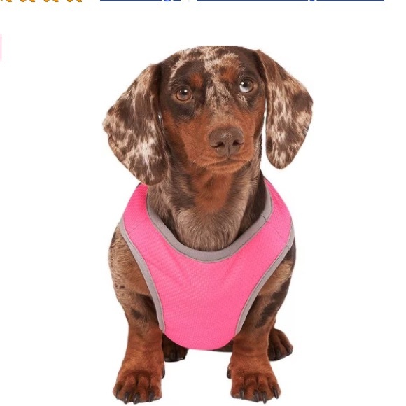 - Canada Pooch Chill Seeker dog cooling vest size 16 NWT pink and gray - Picture 6 of 8
